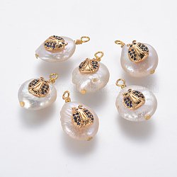 Pendentifs de perles d'eau douce de culture naturelle, avec accessoires zircon cubique micro pave en laiton, rond plat avec coccinelle, or, bleu foncé, 18~20x11~14x6~8mm, Trou: 1.8mm