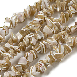 Brins de perles de coquillages naturels de troca, pépites, tan, 3~10x7~25x4~10mm, Trou: 0.6~1mm, Environ 180 pcs/chapelet, 29.92~30.71'' (76~78 cm)