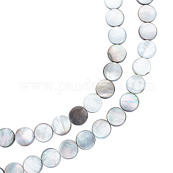 Fili di perline di conchiglia nera naturale benecreat, rotondo e piatto, 10x3.5mm, Foro: 0.6 mm, circa 40pcs/filo, 15.35 pollice (39 cm)