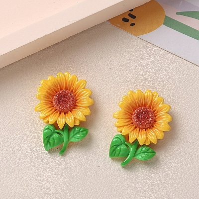 Undurchsichtigen Cabochons&nbsp;PW-WG2B15B-05-1