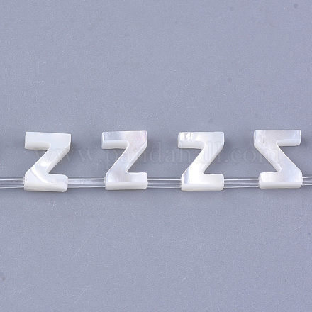 Natürliche Muschel Perlen SHEL-T012-60Z-1
