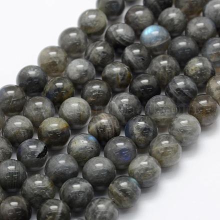 Natural Labradorite Beads Strands G-P322-31-10mm-1