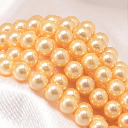 Round Shell Pearl Bead Strands BSHE-L011-10mm-A008-1