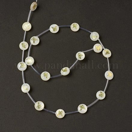 Natural Freshwater Shell Beads Strands BSHE-B005-13F-1