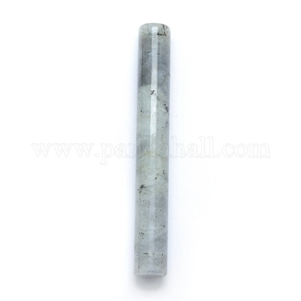 Natural Labradorite Beads G-E490-H17-1