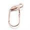 Ion Plating(IP) 304 Stainless Steel Leverback Earring Findings, with Loop, Rose Gold, 19x12x5.5mm, Hole: 2mm, Pin: 0.8x0.8mm