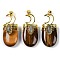 Natural Tiger Eye Pendants, Moon Charms, with Rack Plating Golden Plated Brass Findings, Lead Free & Cadmium Free, 43.5~45x20~22x14.5~15.5mm, Hole: 6.5x5mm