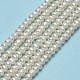 Natural Cultured Freshwater Pearl Beads Strands PEAR-A005-21B-01-2