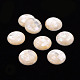 Cabochons de coquillage blanc naturel SSHEL-T014-34-1