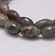Natural Labradorite Beads Strands G-G970-24-3