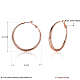 Brass Big Hoop Earrings EJEW-BB16613-RG-3