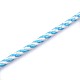 Rondes cordes de polyester de fils de chaîne OCOR-L008-01-1