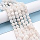 Natural Rainbow Moonstone Beads Strands G-K323-20A-3