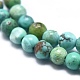 Chapelets de perles en turquoise naturelle G-K305-01-A-3