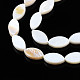 Eau douce naturelle de coquillage perles brins SHEL-Q024-017-3