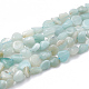 Natural Amazonite Beads Strands G-S340-14-1