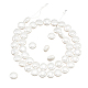 Nbeads 1 brin de perles de coquillage galvanisées BSHE-NB0001-20-1