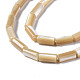 Chapelets de perles de coquille de trochid / trochus coquille SSHEL-S266-020B-01-3