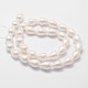 Rainbow Plated Shell Pearl Beads Strands BSHE-L027-01-7x10-2