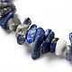 Chip Naturedelstein Perlen Stretch Armbänder Sets BJEW-JB05700-5