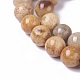 Fossili perle di corallo fili G-F648-02-C-3