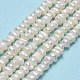 Natural Cultured Freshwater Pearl Beads Strands PEAR-A005-19-01-2