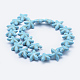 Synthetic Turquoise Beads Strands TURQ-F009-03-2