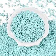 Выпечка краска стеклянные бусины SEED-T006-03G