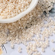 Выпечка краска стеклянные бусины SEED-S042-15A-02