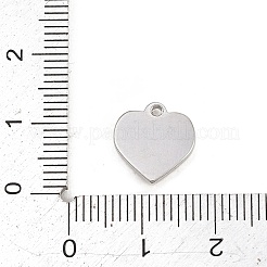 Pendentifs en acier inoxydable 304 sertis de strass&nbsp;STAS-L313-03P