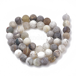 Chapelets de perles en agate de feuille de bambou naturelle&nbsp;X-G-T106-026