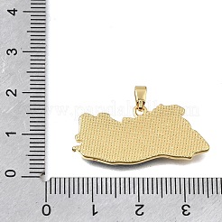 Ciondoli smaltato in ottone&nbsp;KK-C263-30B-G
