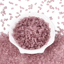 Perline di vetro trasparente satinato fgb&nbsp;SEED-N013-05A-06