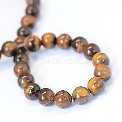 Grado ab ojo de tigre natural de hebras grano redondo&nbsp;G-E334-6mm-17