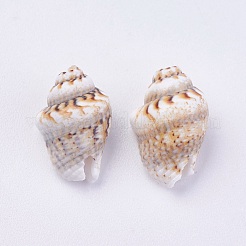 Perle di guscio&nbsp;BSHE-P026-35