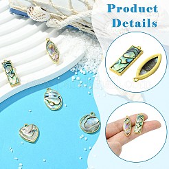 5 Stück 5 Stile natürliche Paua-Muschelanhänger&nbsp;KK-CJ0003-10