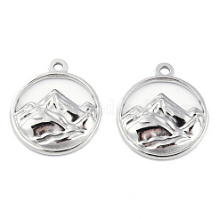 Pendentifs en acier inoxydable 201 anti-ternissement&nbsp;STAS-N098-141P