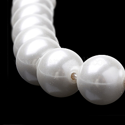Shell Perlen Stränge&nbsp;X-BSHE-S301-8mm-04