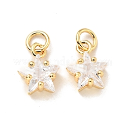 Pendenti ecologici in ottone con micro pavé di zirconi&nbsp;KK-D080-44G