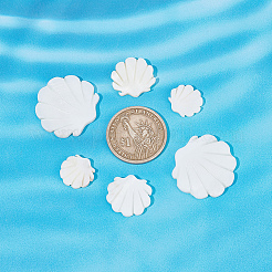 30 pz 3 dimensioni perline di conchiglia d'acqua dolce naturale&nbsp;SHEL-BC0001-008