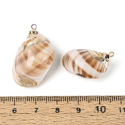 Galvanische natürliche Spiralschalenanhänger&nbsp;SSHEL-N042-07