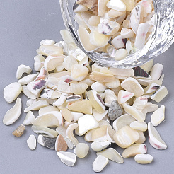 Perle di conchiglia&nbsp;SSHEL-S258-70
