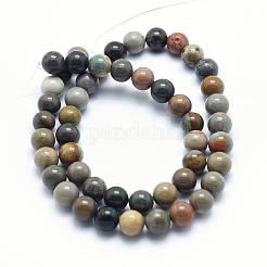 Natürliche ozean achat / ozean jaspis perlen stränge&nbsp;G-G716-03-8mm