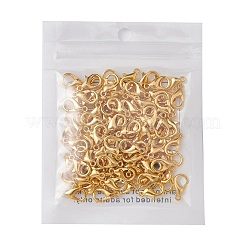 Fermoir pince de homard en alliage de zinc&nbsp;FIND-FS0001-75G