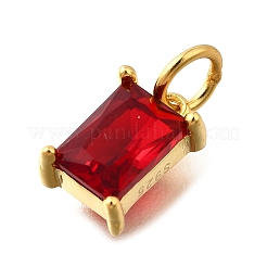 925 Sterling-Silber-Anhänger mit klaren Zirkonia&nbsp;STER-V001-02G-07