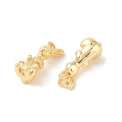 Messing Anhänger & Charms&nbsp;KK-Q816-31G