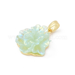 Pendentifs en laiton plaqué uv&nbsp;KK-R213-15G-04