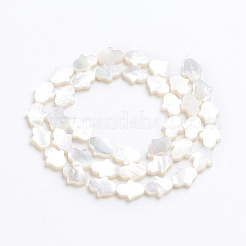 Guscio bianco naturale madreperla perle di conchiglia&nbsp;X-SSHEL-L017-006