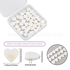 2 filo di perline di conchiglia d'acqua dolce naturale&nbsp;SHEL-SC0001-85B