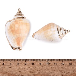 Grands pendentifs en coquillage spiralé naturel avec garniture en laiton doré électroplaqué&nbsp;SSHEL-N042-35